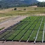 c6d9f8_1da4c6d1935b4196a0cf5fdacb152aef_mv2