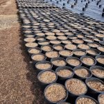 c6d9f8_1ed8729ba5c24259b30249e92825b91a_mv2