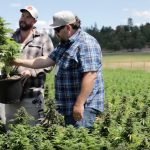 c6d9f8_60bee86b6b9c4464927b30aaff6d266e_mv2