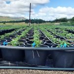 c6d9f8_7f4c603ae35f41b5b5db5d3fd704cd67_mv2