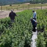 c6d9f8_91ac85b2f7ef444c8a17d24caba97da6_mv2