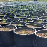 c6d9f8_a82fe2a50bd7454e96fb7913da4b0b2d_mv2