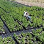 c6d9f8_b91a43ba98cf4391b7d69308ef44c47b_mv2