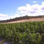 c6d9f8_bb5d70a8e1cb40068070634112106655_mv2