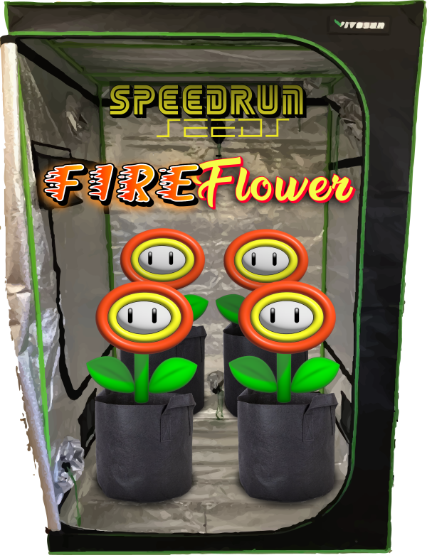 Early Release Multipack - Image 2