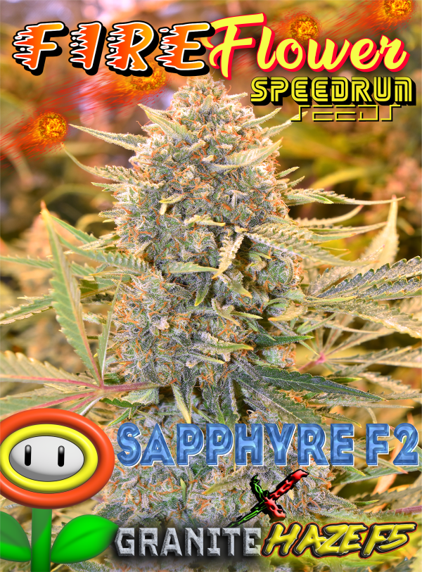 Early Release Multipack - Image 4