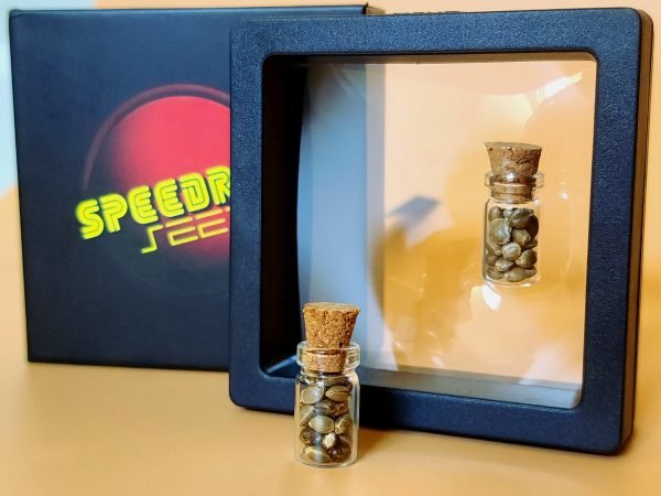 Mystery Pack - Image 2