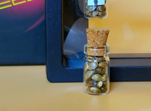 Mystery Pack - Image 4