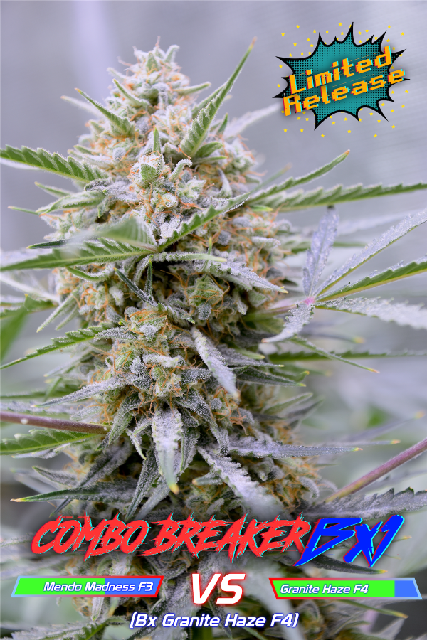 Combo Breaker (3-Pack) - Image 3