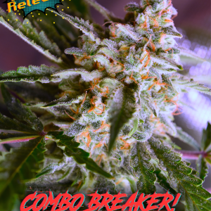 Combo Breaker (3-Pack)