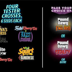 Breed For Speed: Pheno Hunt Pack