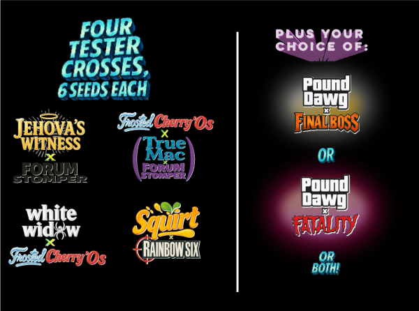 Breed For Speed: Pheno Hunt Pack